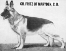 CH Fritz of Maryden, CD